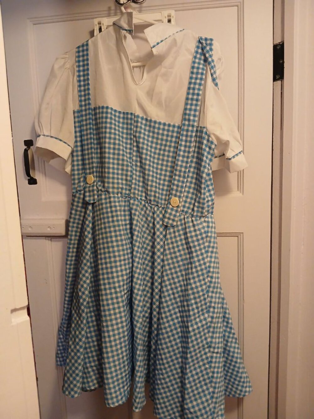The Wizard Of Oz Dorothy Adult Large Dorothy Dress